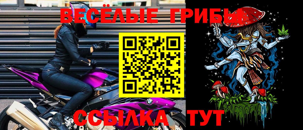 Псилоцибиновые грибы прущие грибы Арсеньев