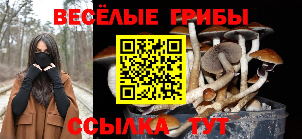 Псилоцибиновые грибы ЛСД  Псилоцибиновые грибы ЛСД  Арсеньев  Вход с VPN 